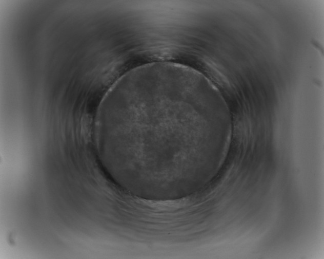 X0000097460030200803071641