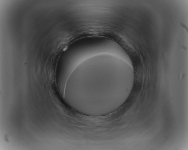 X0000097460031200803071641