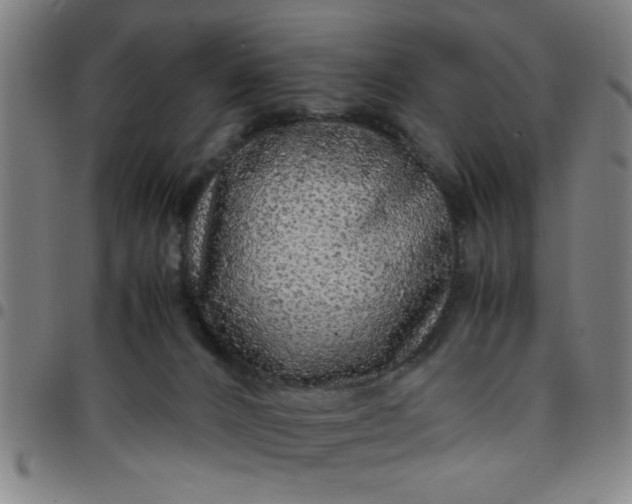 X0000097460032200803071641