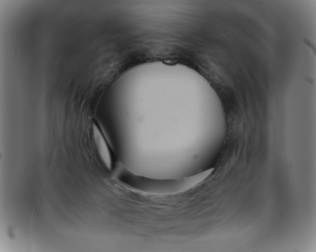 X0000097460033200803071641