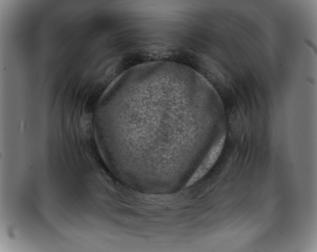 X0000097460034200803071641