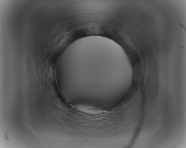 X0000097460035200803071641