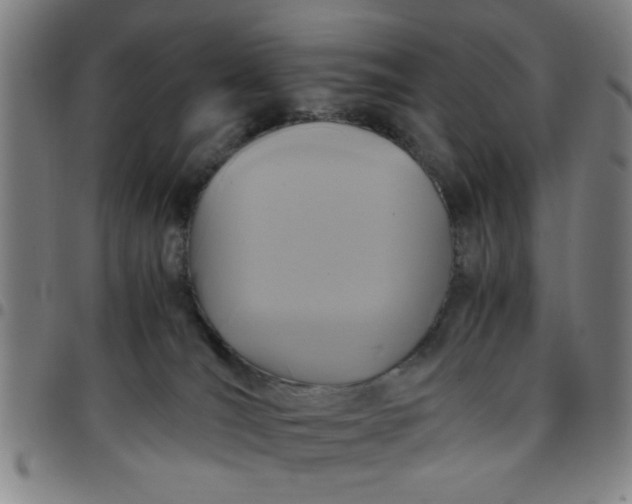 X0000097460036200803071641