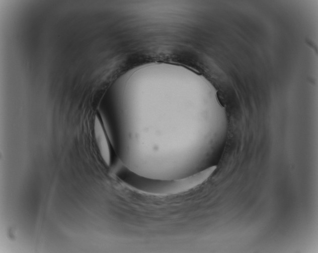 X0000097460037200803071641