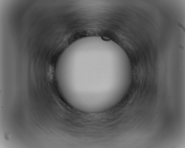 X0000097460038200803071641