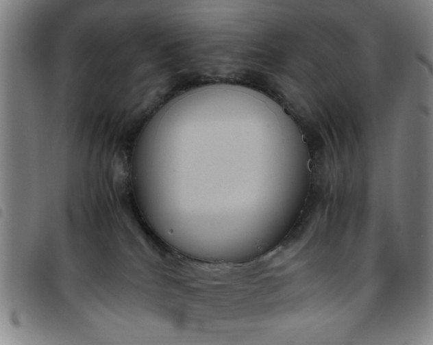 X0000097460040200803071641