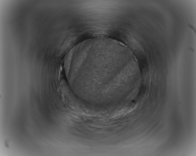 X0000097460041200803071641