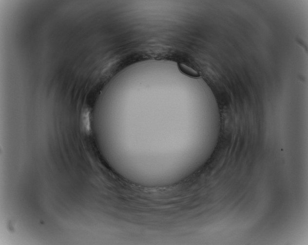 X0000097460042200803071641