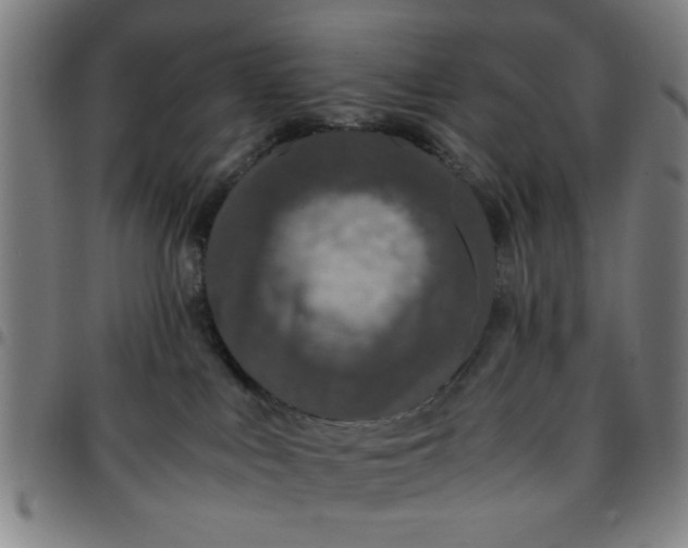 X0000097460043200803071641