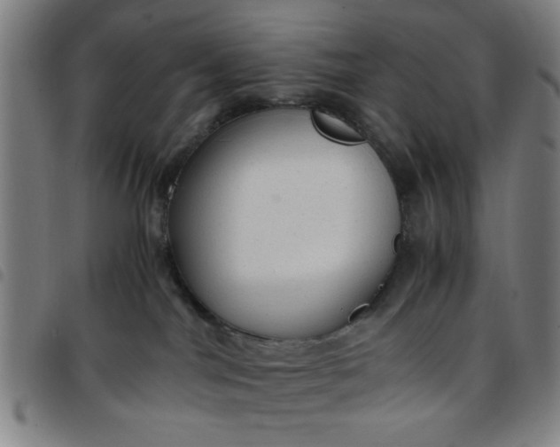 X0000097460044200803071641