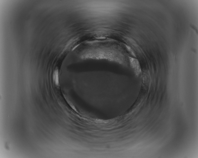 X0000097460046200803071641