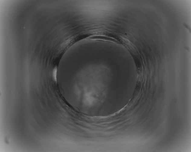 X0000097460047200803071641