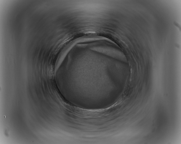 X0000097460048200803071641