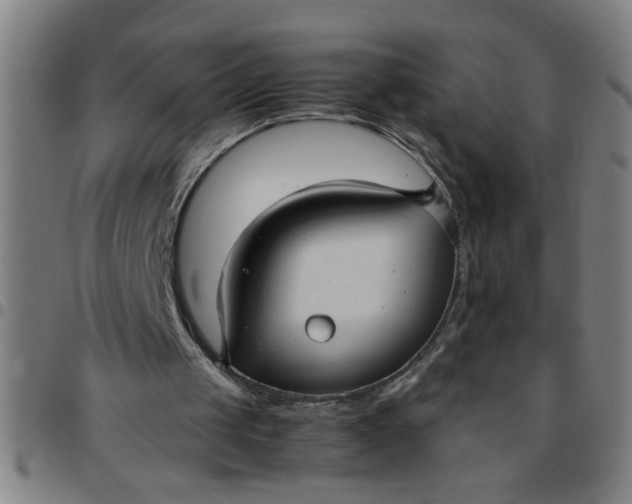 X0000097460049200803071640