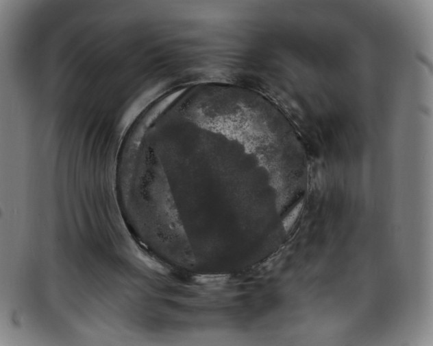 X0000097460051200803071640