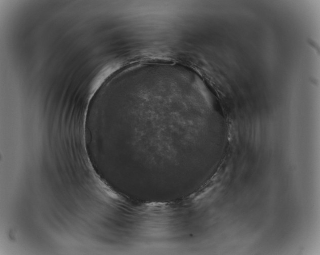 X0000097460052200803071640