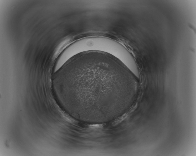 X0000097460053200803071640