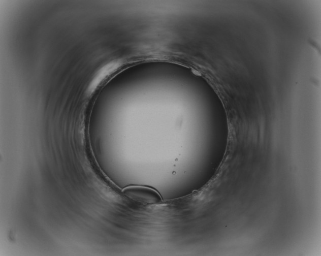 X0000097460054200803071640