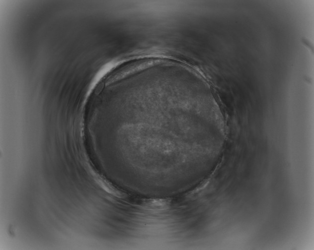 X0000097460056200803071640