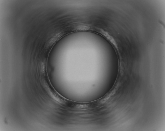 X0000097460057200803071640