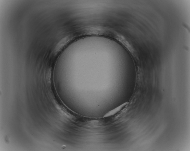 X0000097460058200803071640