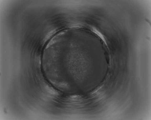 X0000097460059200803071640