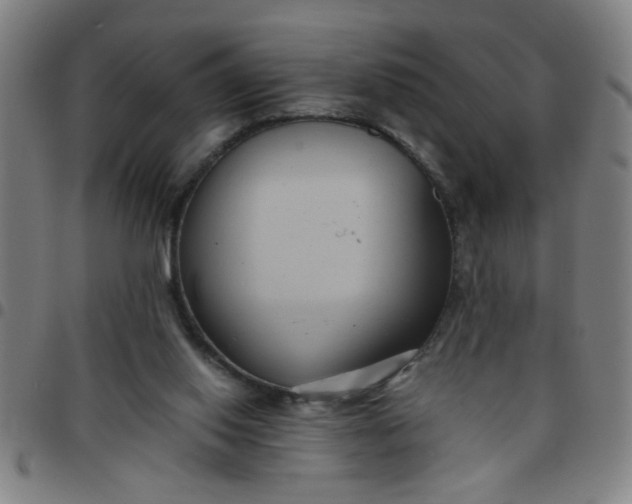 X0000097460062200803071640