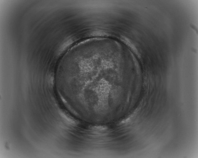 X0000097460063200803071640