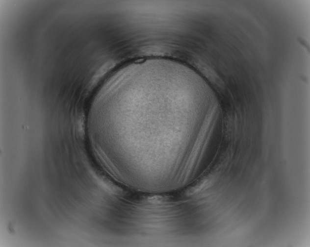 X0000097460064200803071640