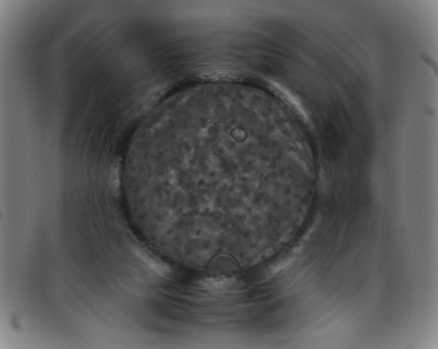 X0000097460065200803071640