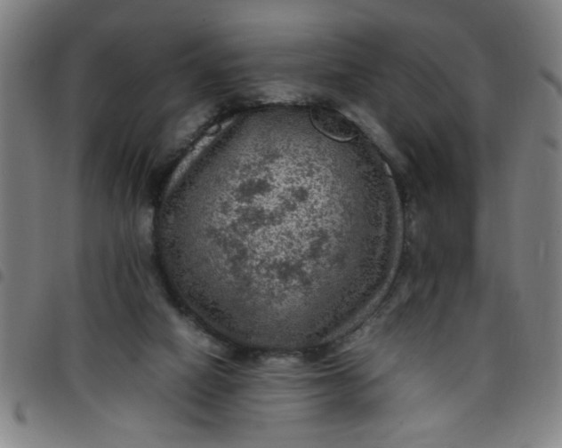 X0000097460066200803071640