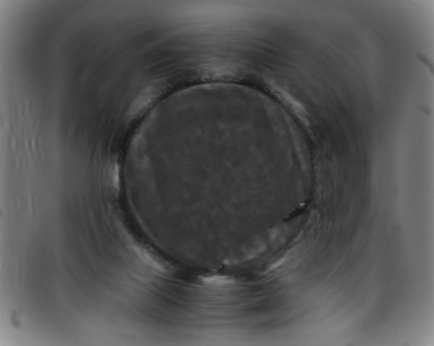 X0000097460067200803071640