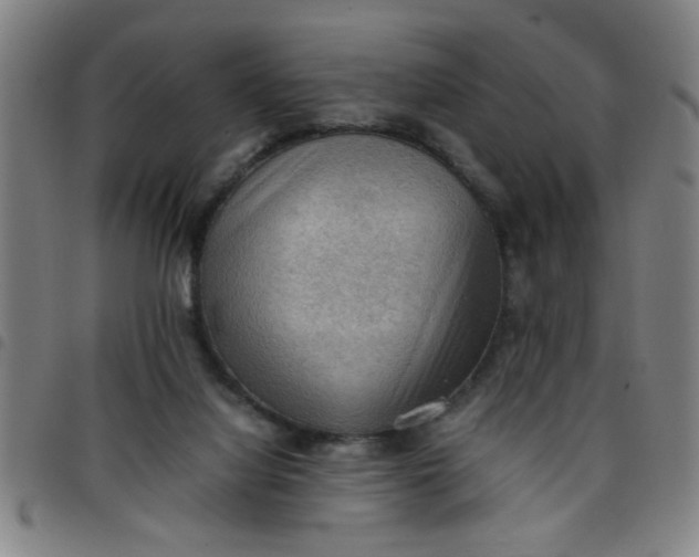 X0000097460068200803071640