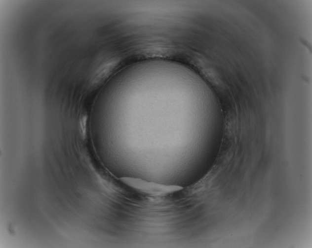 X0000097460070200803071640