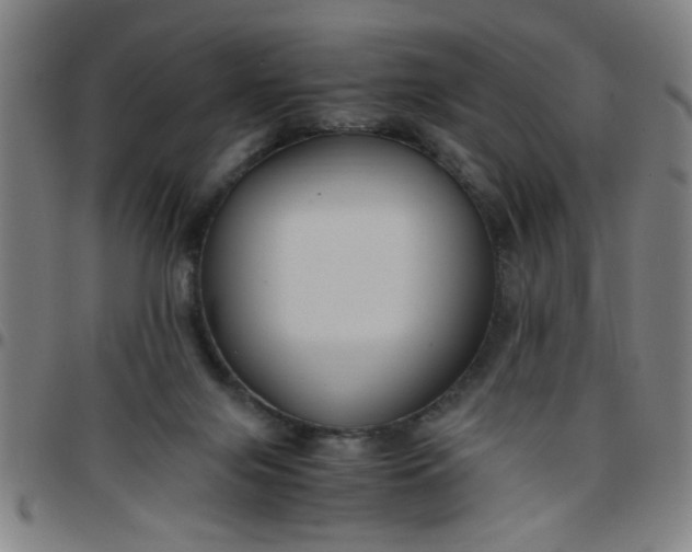 X0000097460071200803071640