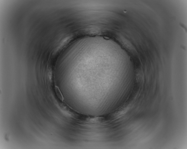 X0000097460072200803071640