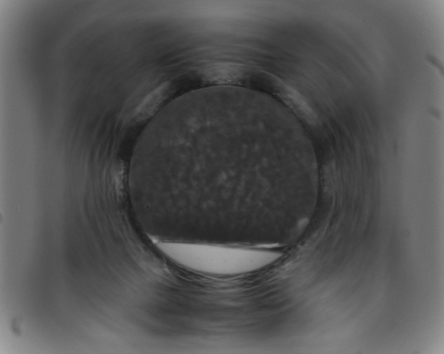 X0000097460073200803071640