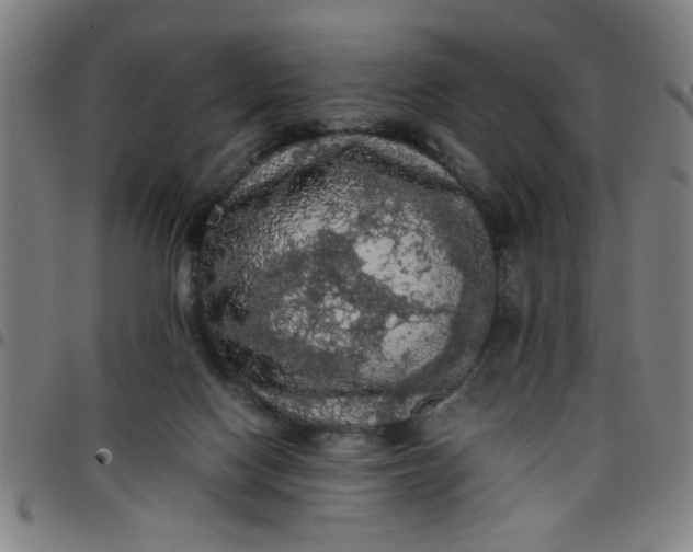 X0000097460074200803071640