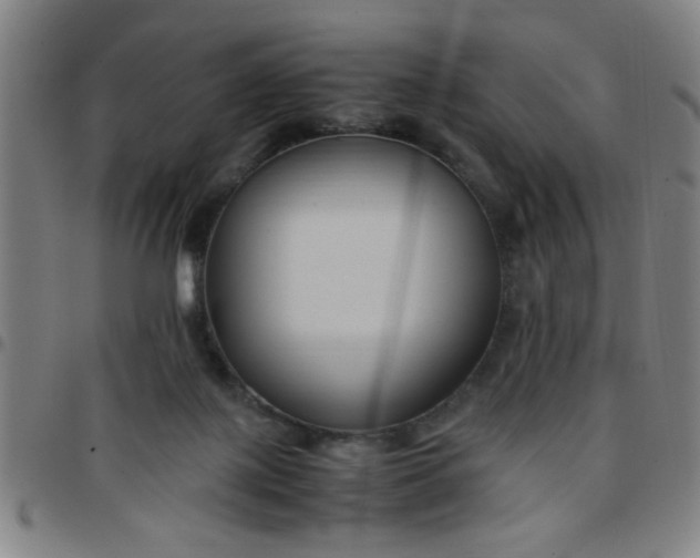 X0000097460075200803071640