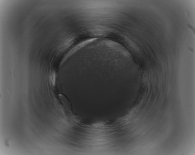 X0000097460076200803071641