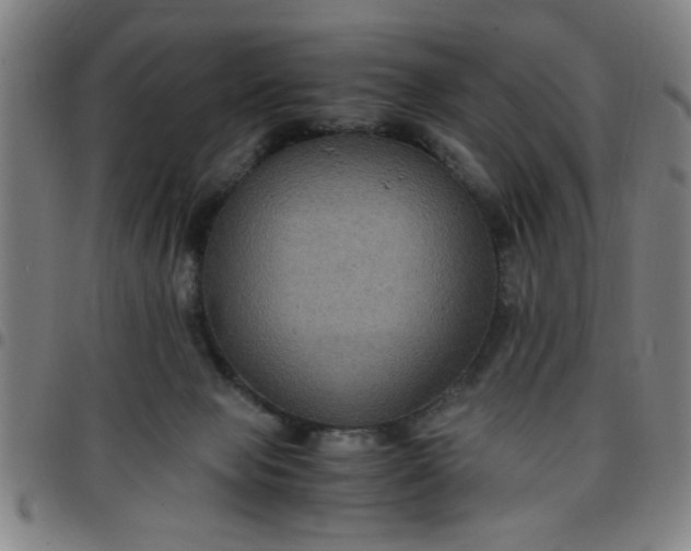 X0000097460077200803071641