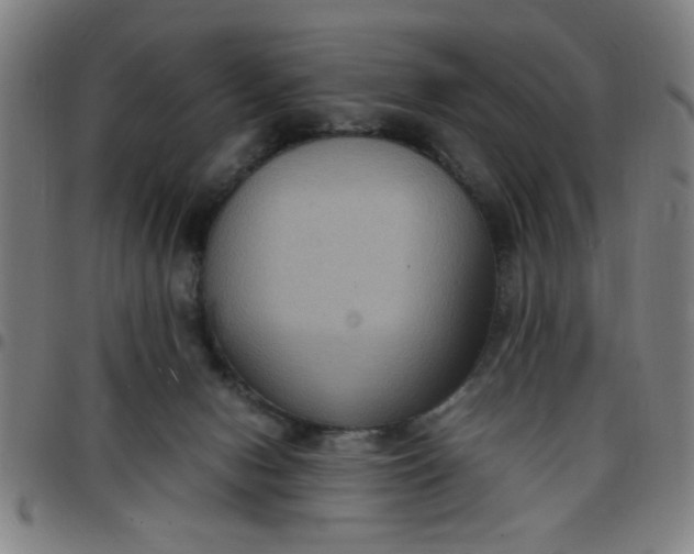 X0000097460078200803071641