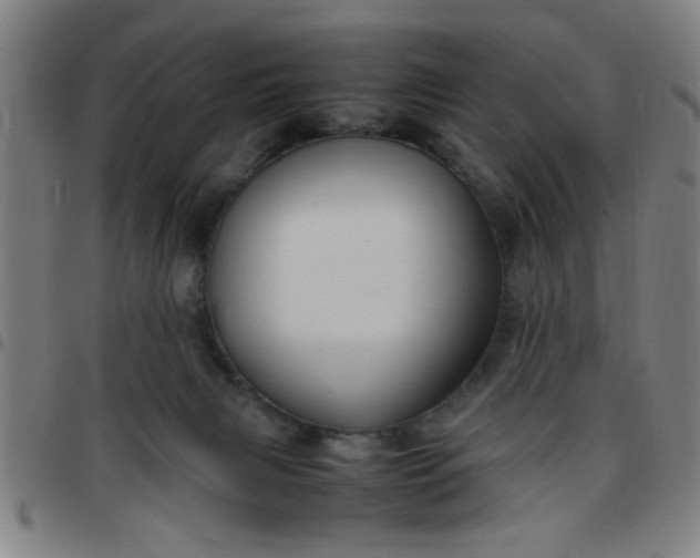 X0000097460079200803071641