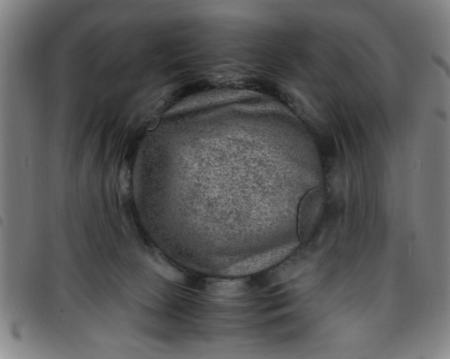 X0000097460081200803071641