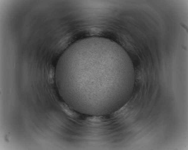 X0000097460082200803071641