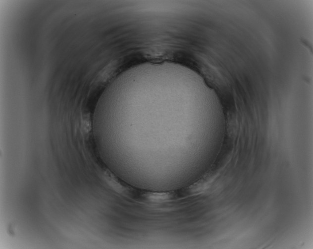 X0000097460085200803071641