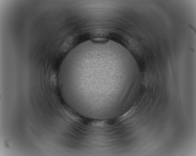 X0000097460086200803071641