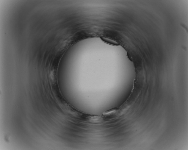 X0000097460088200803071641