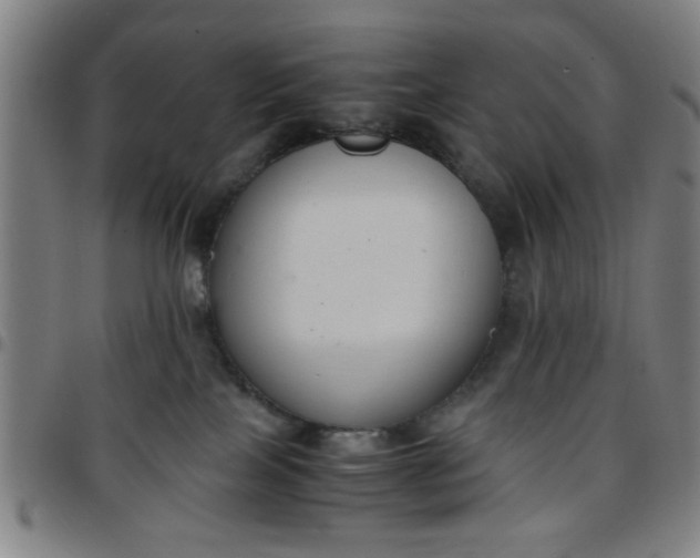 X0000097460089200803071641