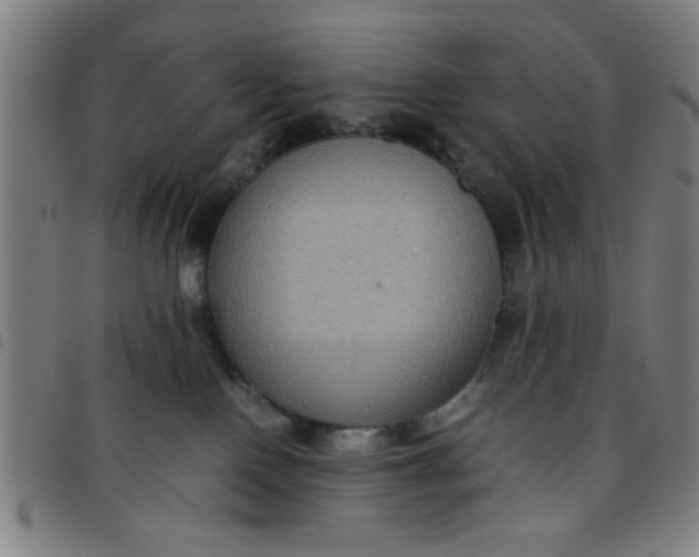 X0000097460090200803071641